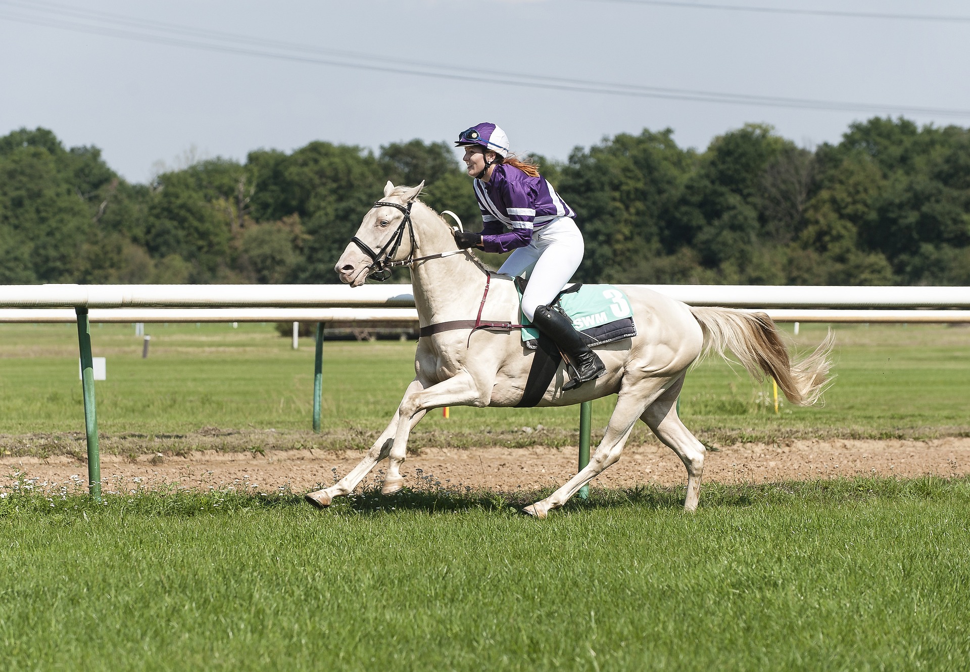 Sport equestri: la Sardegna debutta nel volteggio