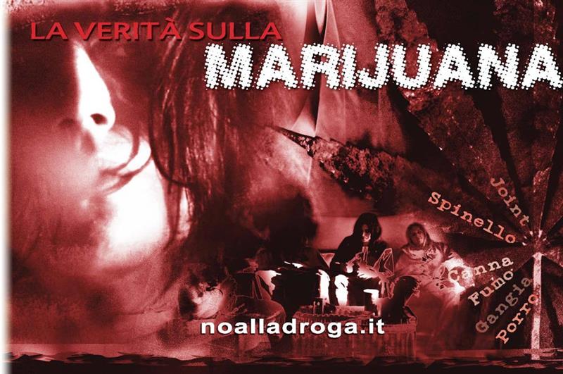 Cannabis illegale: Alla Sardegna il record della produzione e dei sequestri