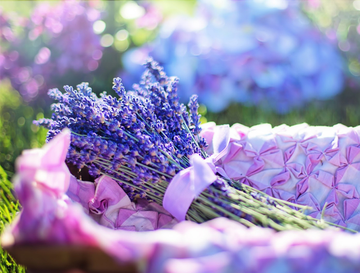 I fiori e i benefici per salute e bellezza.