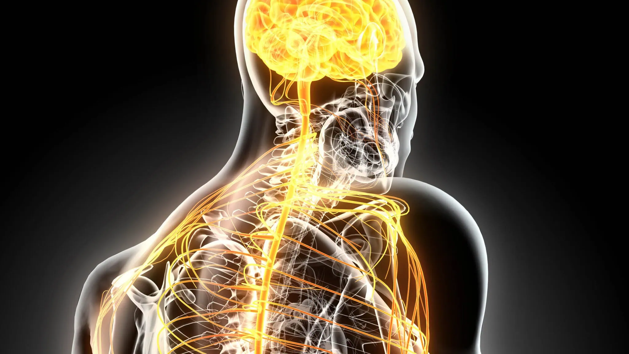 La fibromialgia significa “problemi fibromuscolari”.